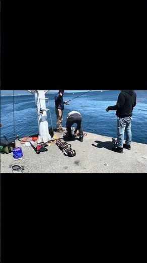 【静岡県釣り】シーバス爆釣！初島