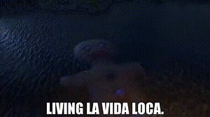 Living la vida loca.
