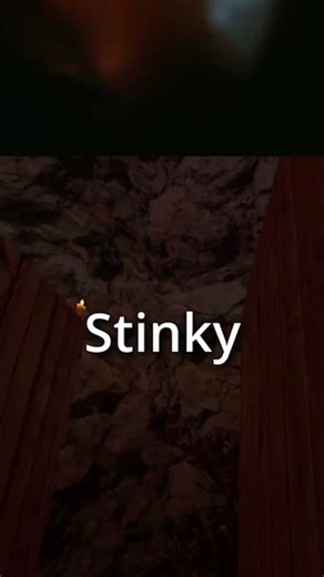 The Stinkiest Player in Gorilla Tag?!