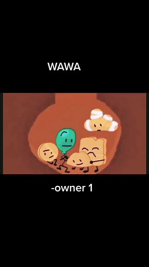 only 1 owner ! on TikTok