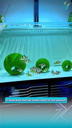 A unique green moss ball–shaped shelter for your aquarium