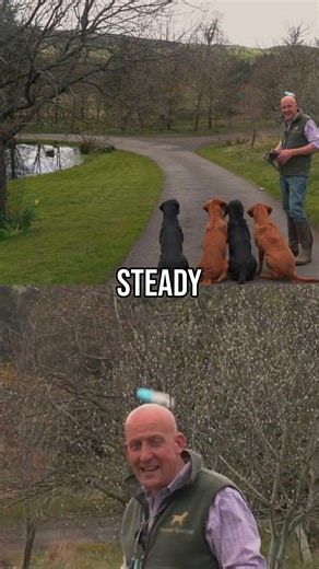Training Steadiness