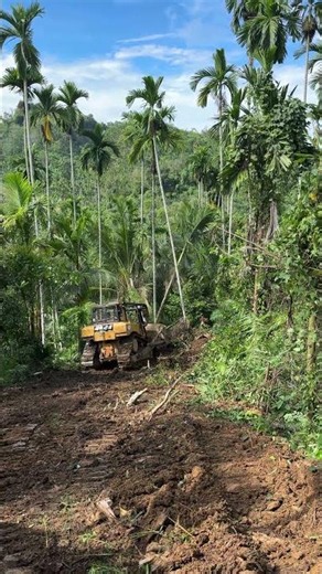 D6R XL Bulldozer and Plantation Road Opening Strategy