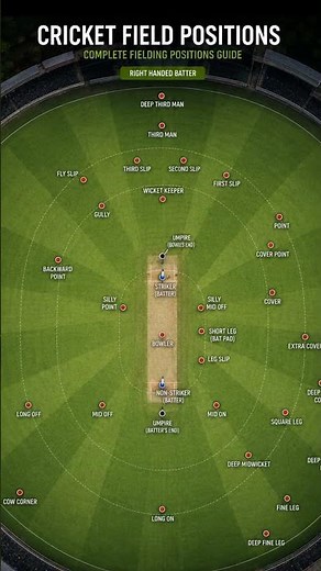 Complete Cricket Fielding Positions Guide | Top View Cricket Ground Diagram