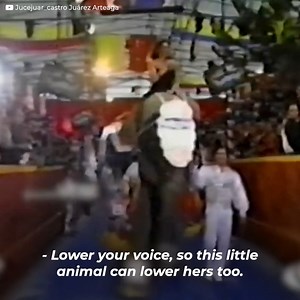 90K views · 126 reactions | Verónica Castro was hosting the Big Brother VIP final, where she appeared riding an elephant. The noises and screams scared the animal, causing Verónica to fall. With permanent mobility restrictions, the consequences of that moment have deteriorated her health and her relationship with her children, adding rumors that claim the artist is close to leaving this world. | Icons + | Facebook