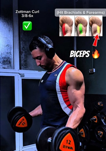 Complete Biceps Workout 🚨Save & give this 3 exercises a try with these adjustments to maximize biceps activation to the fullest ✅