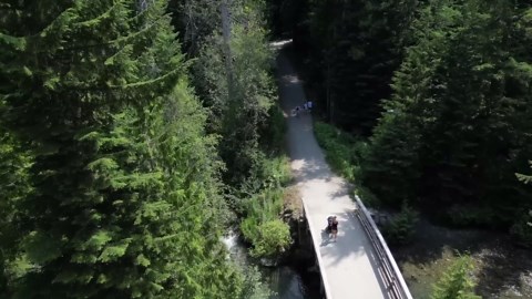 New Life in Whistler Mountain, Canada