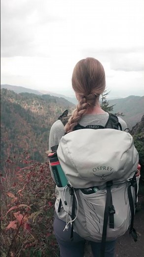 🏔️ Appalachian Trail Fall Colors in the Smoky Mountains! #fallcolors