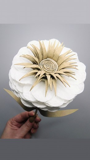 3M views · 81K reactions | 懶 White Paper Flower DIY Craft 懶 #white #paper #flower #diy #craft #paperflowers #floresdepapel #papelhigienico #kwiatyzpapieru #tutorial #tutoriales #toiletpaperrolls #whiteflowers #lovely #cute #craftideas #diyideas | Day with DIY | Facebook