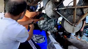 Gaza's first marine fish farm helps local industry