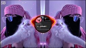 164K views · 11K reactions | #I_Found_The_Best_Arabic_DJ_Remixes(10K v)SB AliF. | Sb Remix Alif | Facebook