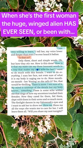 Alien Protector's Mate: A Sci-Fi Romance Adventure