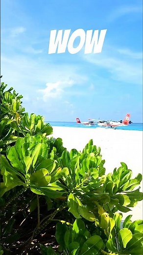Traffic in #maldives in front of your beach pool villa #beach #travel