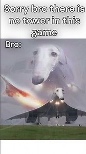 Why is my bro like this 😭😭 #ptfs #tfs #aviation #plane #planecrashes #crash #concorde