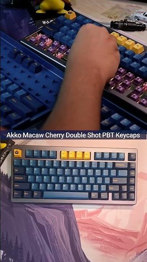Building My First Top Mount Keyboard Featuring Akko ACR Top 75 #soundtest #mechanicalkeyboard