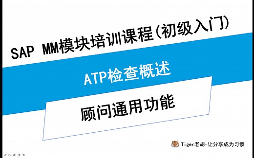SAP 顾问基本技能-ATP检查概述