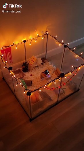 The Rat turned 1 years old🥳 #rat #fyp #hamster #halloween #cute #happybirthday #smallpets #petlover #spooky #pet