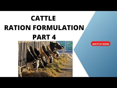 Dairy Cattle Ration Formulation part 4