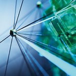 The Many Faces of Resilience