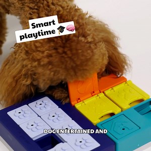 HOW SMART IS YOUR DOG? 🐾 Smarter than you think! Dogs need mental stimulation just like humans, and Pawzler dog puzzles deliver the challenge they crave. 🎉 Why Pawzler? ✨ Modularity makes every playtime a fresh adventure—like LEGO for dogs! 🧠 Boost their IQ with ever-changing puzzles. 🐾 Strengthen their focus while building a deeper bond. 💡 Perfect for all breeds, sizes, and energy levels. 🔒 Crafted with premium quality and safety in mind. 🌟 Slow down fast eaters and motivate hesitant one