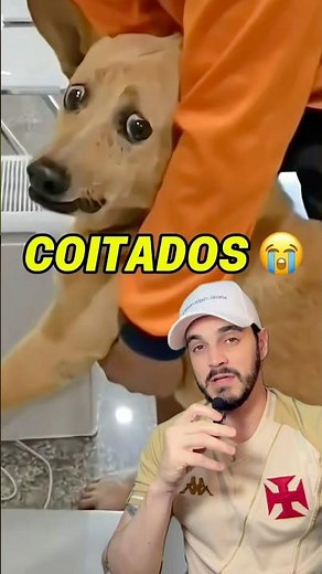 In Asia they still maintain the tradition of eating dog meat 😰 #asia #dogfood #vietnam