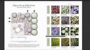 17 reactions | Dying for a sneak peek? We crack the cover on our Simply Beautiful Guide to Fall Planting—and the code to a simple formula for designing any garden, any where. Can't wait to see more? Head here to view the full guide, including quick links to get more info on each featured plants: https://go.monrovia.com/simply-beautiful-formula-design-guide | Monrovia | Facebook