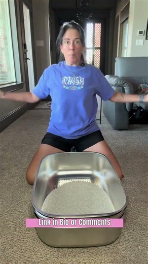 No scooping just sifting litter box