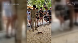 See Inside a Hero Rat Academy Where Rodents Learn to Sniff Out Undetonated Landmines