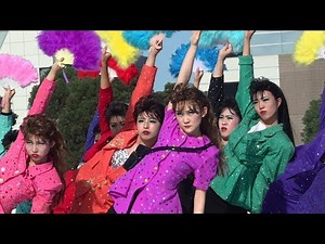 あのバブリーダンスを東京モーターフェスで披露！/ 登美丘高校ダンス部OG（2018.10.6）