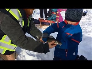 Want to go ice fishing but don't have an ice auger? Some ice anglers just walk around and crack open previously drilled holes with a hammer or other common tool. Get your licence for only $30 here - https://www.albertarelm.com/customeraccount.page | Alberta Conservation Association