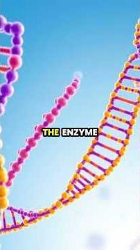 Unraveling DNA: The Fascinating Process of DNA Replication