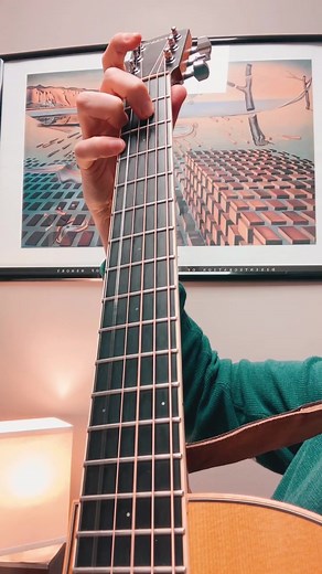 Aaron Terrapin on TikTok