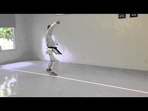 Upward Block, Reverse Punch (back) | IKD Testing Syllabus videos | Shotokan Karate 2013