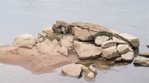 He drained the river looking for valuables - then found a bottle full of bad-luck wishes