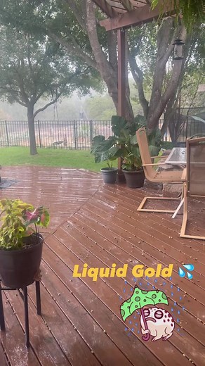 Sweet sight & sound this morning. My backyard view in North Bexar County 🤠 | Chris Suchan Meteorologist