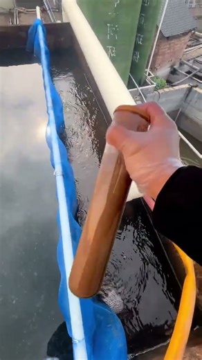 #Flocculant #Polyacrylamide #WastewaterTreatmentAgents #WaterPurificationAgents