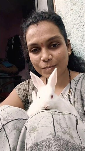 Rabbits Reaction 😍😍🧿🫶🏻 #rabbit #animal #cute #bunny #shorts