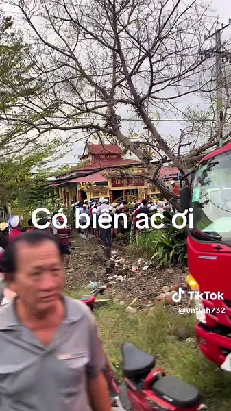 Cầu Sánh và Biến Tai Cầu: Khám Phá Hậu Giang