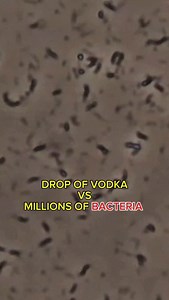 #interesting #microscope #bacteria #vodka #fypage | Microworld Discovery