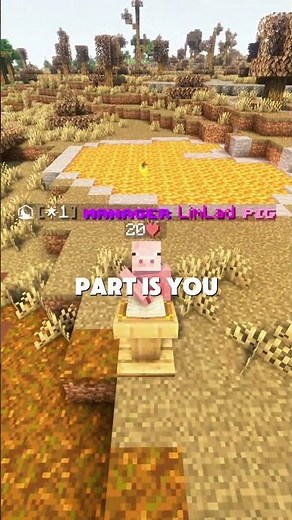 Best Public Minecraft SMP (2026) (Custom) #minecraftsmp #minecraft #smp #java #bedrock #crossplay