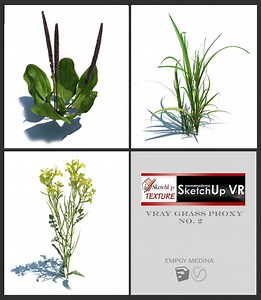 Vray Proxy Trees Free Download