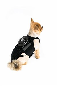 EMpower Device System - EM Technology