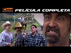 Roosters of the Sierra | Full Movie | Mexican Cinema | Chelelo