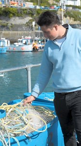 Fish For Thought for the future. | Fish for Thought