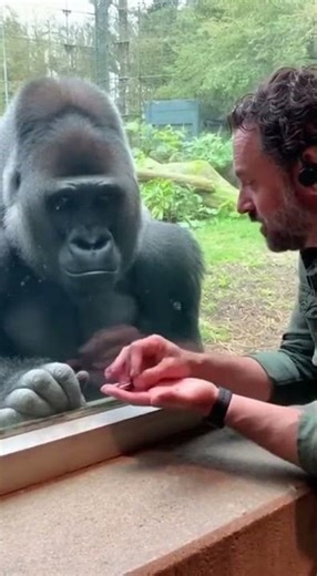 🐾FunnyAnimals🐾 ZOOLOL🐾| Trick at the Zoo