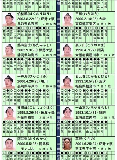 大相撲、9月場所、十三日目、取組結果、2025.9.26