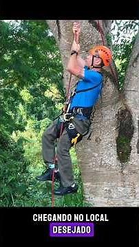 Tree Climbing Using Rope Wrench