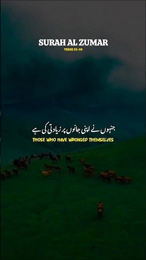 🌙 SURAH AL ZUMAR TILAWAT BEAUTIFUL NATURE BACKGROUND🥀 | QURAN URDU TRANSLATION 💝