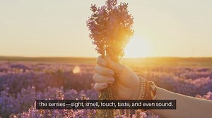 Best Plants for a Sensory Garden Experience