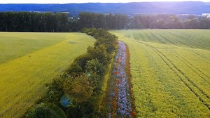 💙LEMKEN ist YOUR PARTNER FOR NEXT LEVEL FARMING! 💙 Was ist Next Level Farming? Wir beschäftigen uns dabei mit den Themen: Ressourcenschutz, Wassermanagement, Prozesse & Autonomie, Digitalisierung und Forschung & Beratung. 🌱 Ziel ist es, standortgerechte landwirtschaftliche Methoden zu entwickeln, die darauf abzielen, den Boden und die Umwelt weniger zu belasten. 👉 Weitere Informationen findest du hier: bit.ly/next-level-farming | LEMKEN